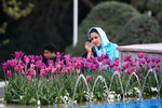 vahid sohrabi0009-1.jpg